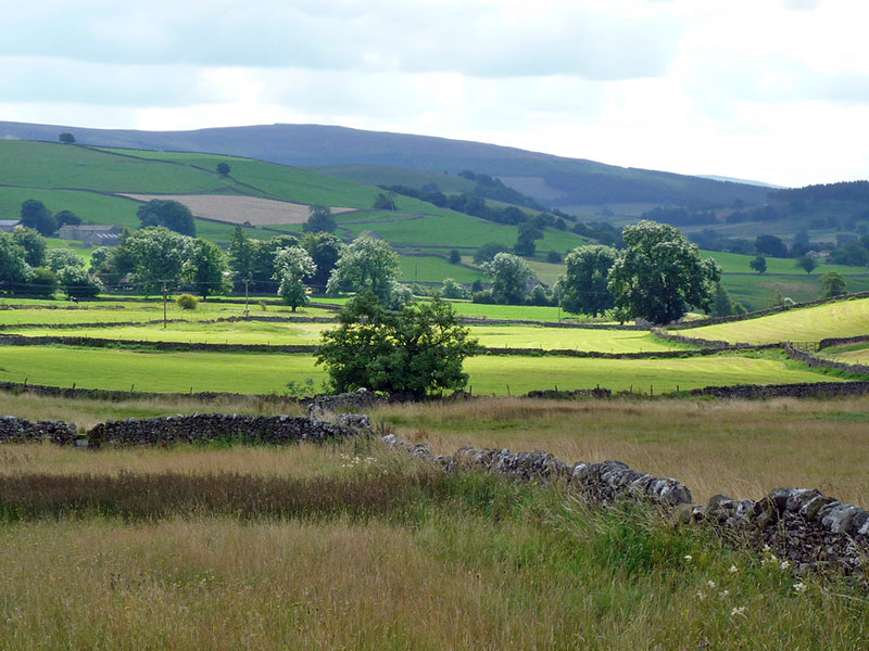 dry-stone-walls-buckden