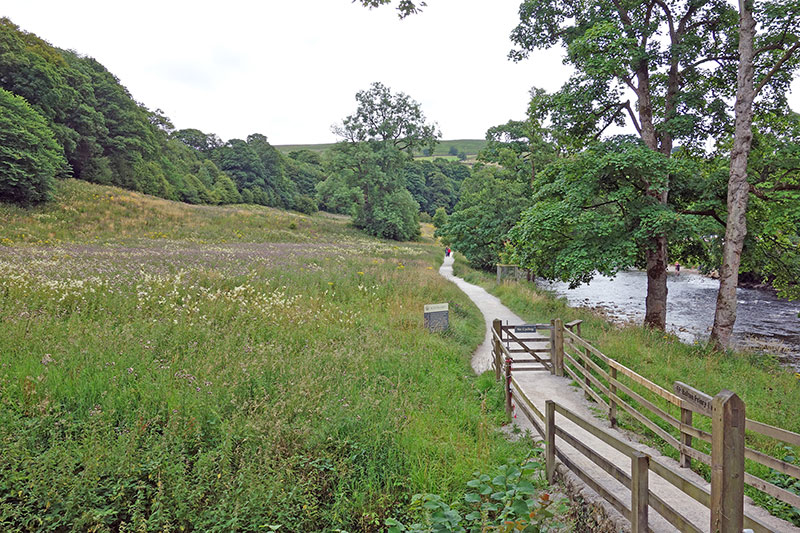 bolton-abbey-meadow-800