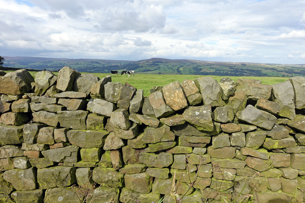 Image result for dry stone wall