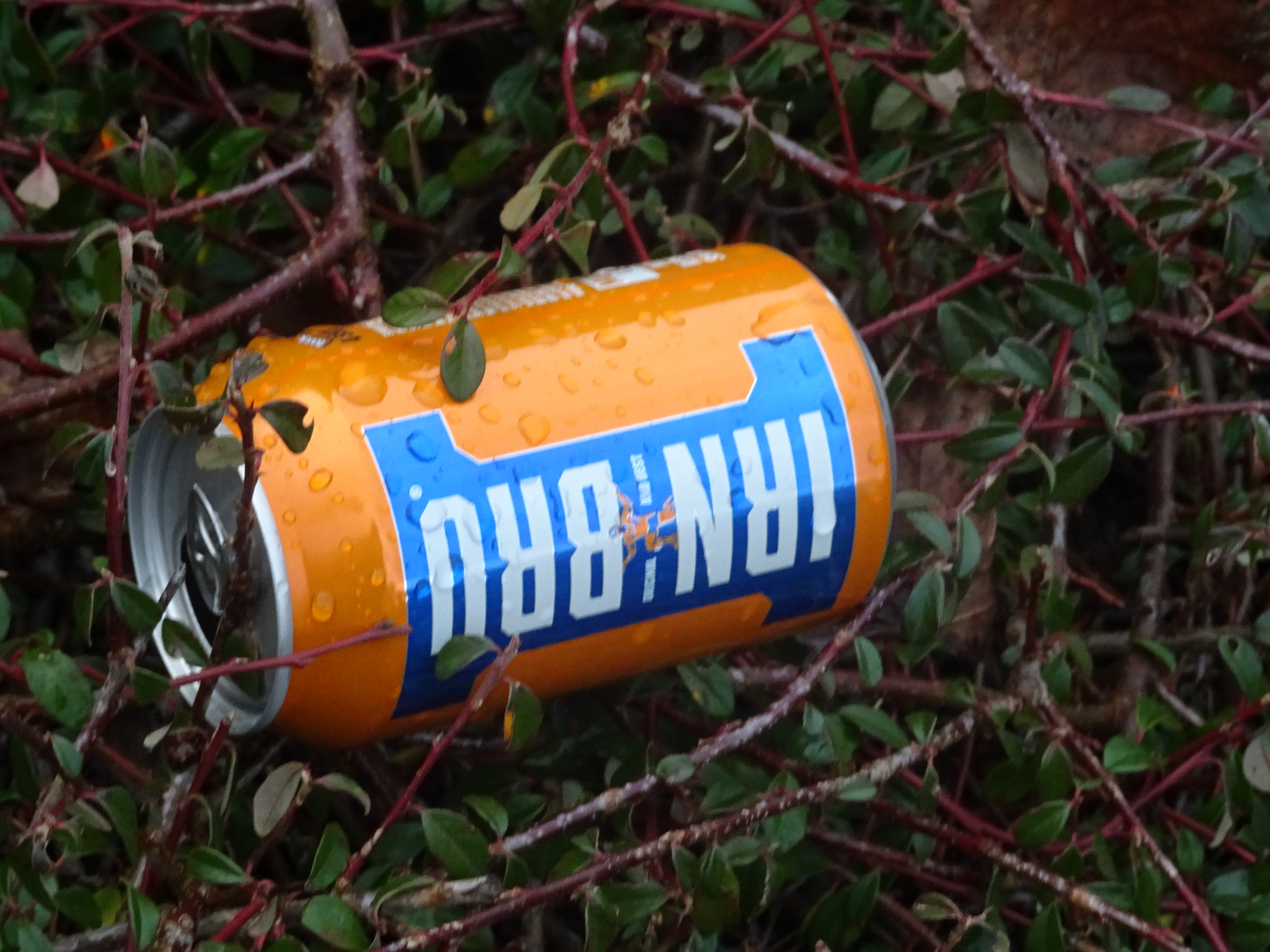 Idle Litter Louts Keep Yorkshire Litter Free God's Own County