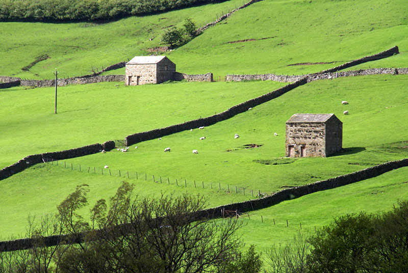 Dry stone wall