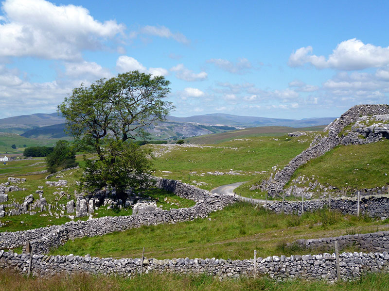 dry-stone-wall